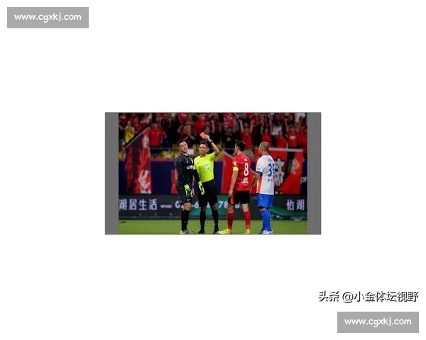 王大雷红牌扔袖标致歉：职业精神与信任危机的双重警示