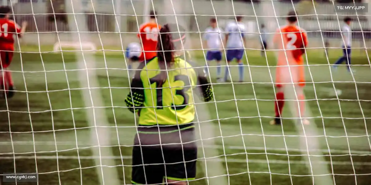 我们的核心竞争力